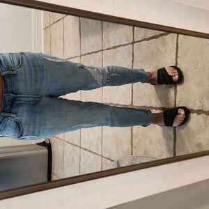 Articles of Society $5